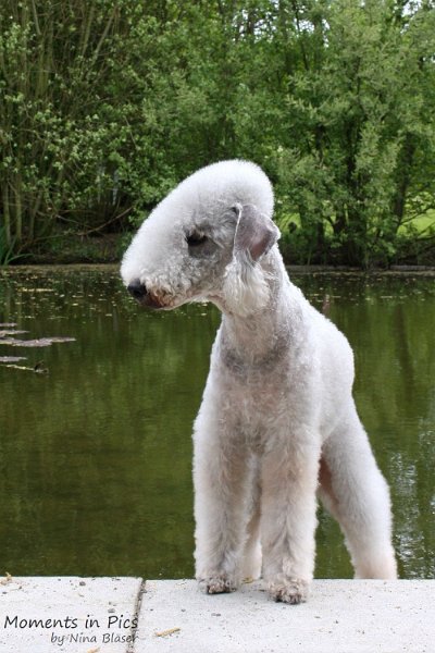 2010-05-01 Svet und Aveline (6).JPG